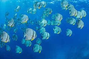 Kagi Maldives Resort & Spa