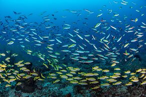 Kagi Maldives Resort & Spa