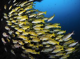 Kagi Maldives Resort & Spa