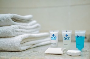 Ace Premier Hotel