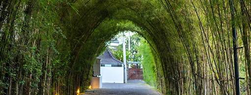 Villa for Rent in Bali 2084