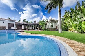 Royal Palm