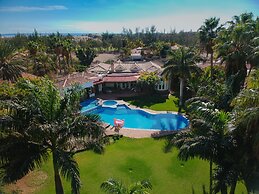 Royal Palm