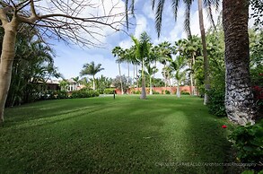 Royal Palm
