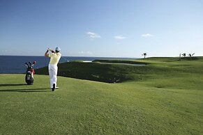 Royal Palm