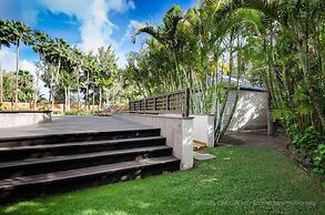 Royal Palm