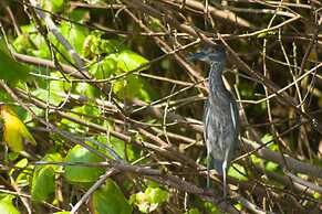 Hotel Casa Barlovento