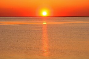 Affittimoderni Isola Rossa Élite - Pati15