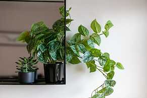 Elliot Suite No7 - Donnini Apartments