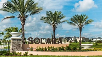 Tropical Sunset by Florida Spirit