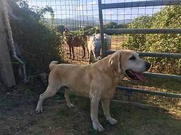 Villa Leccia di Lorello