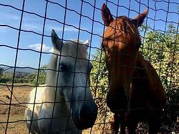 Villa Leccia di Lorello