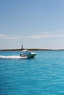 Torre Vella – Fontenille Collection