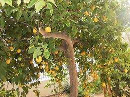 Agii Apostoli Studios