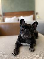 Canopy by Hilton Sao Paulo Jardins