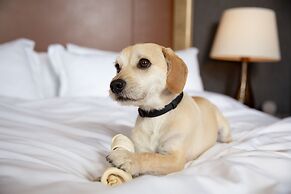 The Industrialist Hotel, Pittsburgh, Autograph Collection