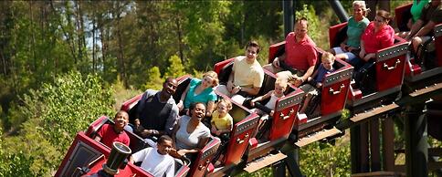 1203 Golf View Towers Bears Den