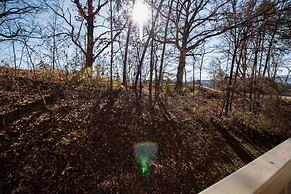 1203 Golf View Towers Bears Den