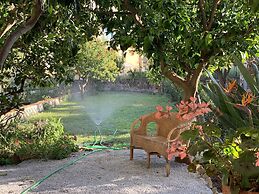 Il Giardino Dei Limoni