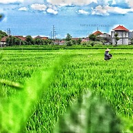 Bali Eco Living Yoga Healing Meditation and Retreat Center