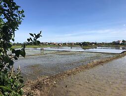 Bali Eco Living Yoga Healing Meditation and Retreat Center