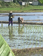 Bali Eco Living Yoga Healing Meditation and Retreat Center
