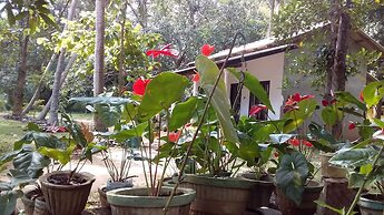 Venus Paradise