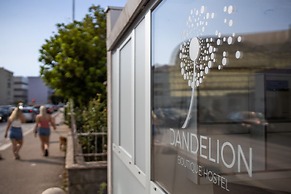 Dandelion boutique hostel