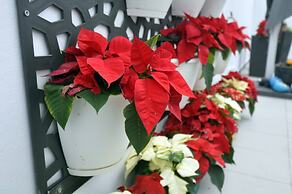 Porto Velho Boutique Hostel