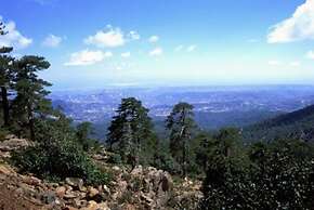 Villa for Rent in Protaras 1018