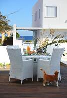 Villa for Rent in Protaras 1051