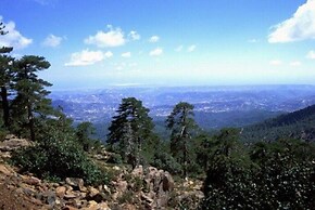 Beautiful Villa With Private Pool, Protaras Villa 1020