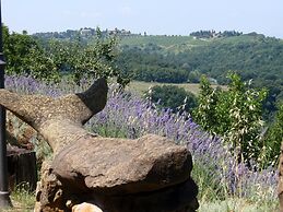 Room in B&B - A Little Place in Tuscany Where to Relax