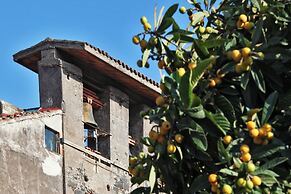 The Garden in the City Center