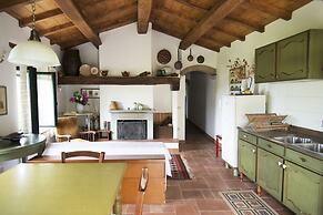 Apartment the Crocodile Feel the Nature