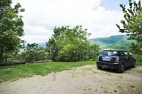 Apartment the Crocodile Feel the Nature