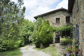 Apartment the Crocodile Feel the Nature