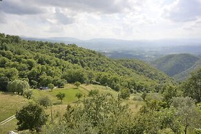Apartment the Crocodile Feel the Nature