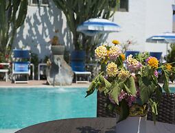 Room in B&B - Ischia-forio, in 4 Under the Sign of Relaxation and Well