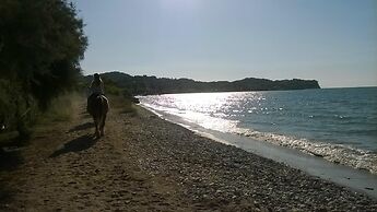 S&C Kosmos Beach Resort