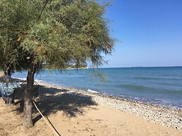 S&C Kosmos Beach Resort