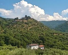 Room-michelangelo House, Bilo