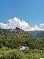 Room-michelangelo House, Bilo