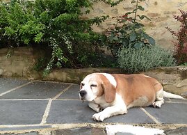 Historical Residence il Biribino 27 People