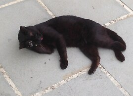 Historical Residence il Biribino 27 People