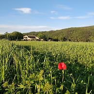 la Casa - Agriturismo With Pool Between Siena and Grosseto