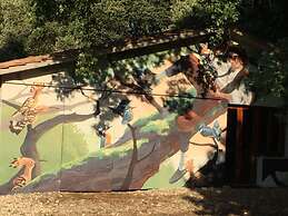 Silence and Relaxation in the Countryside of Umbria