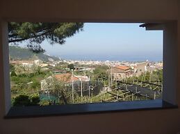 Old Farmhouse Set In A Citrus Grove