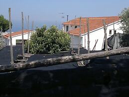 Old Farmhouse Set In A Citrus Grove