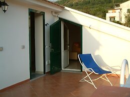 Old Farmhouse Set In A Citrus Grove